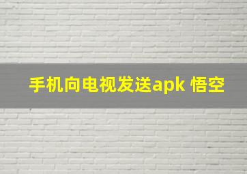 手机向电视发送apk 悟空